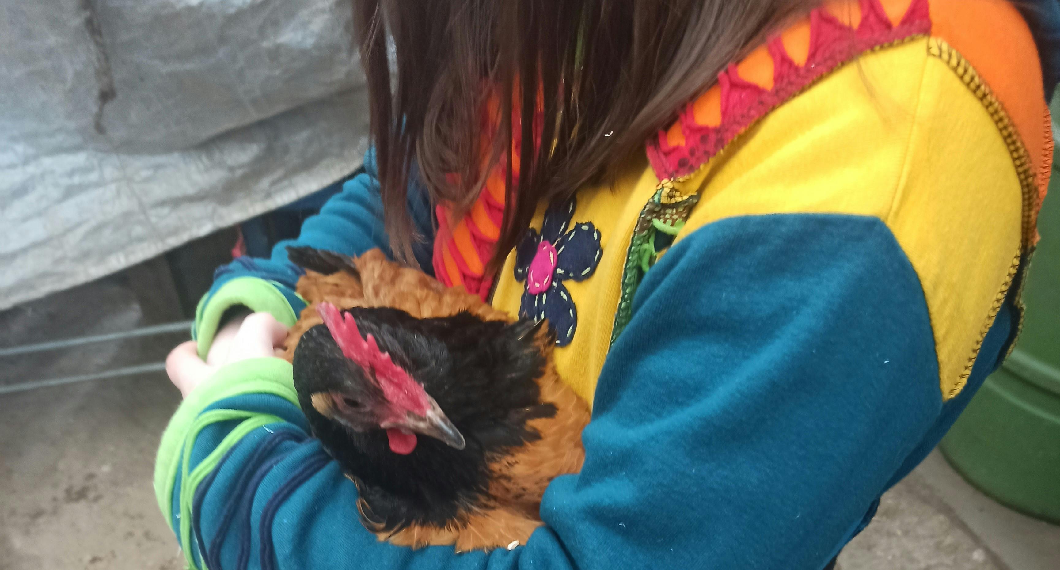 Huhn im Arm von einem Kind